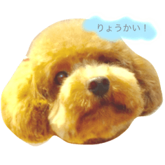 [LINEスタンプ] 毎日こむぎ fetchpriority=high