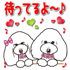 [LINEスタンプ] ふわもこプードルソフィア＆シャーロット