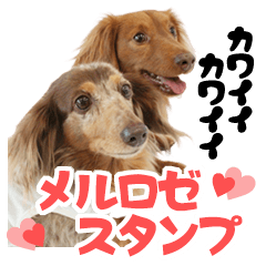 [LINEスタンプ] 可愛い可愛いメルロゼスタンプ