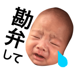 [LINEスタンプ] t.yushin2017