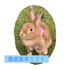 [LINEスタンプ] 使えるキャロちゃん