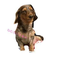 [LINEスタンプ] チロ好き