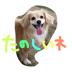 [LINEスタンプ] 犬物語#