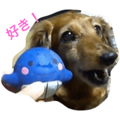 [LINEスタンプ] ダックスフンドのご挨拶^ - ^