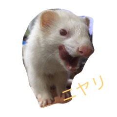 [LINEスタンプ] 世界のまつ子3