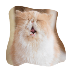 [LINEスタンプ] にゃんころころり