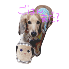 [LINEスタンプ] ばにらくんの日常