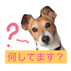 [LINEスタンプ] Ichi-biyori3