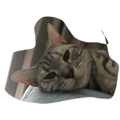 [LINEスタンプ] catmimi22 
