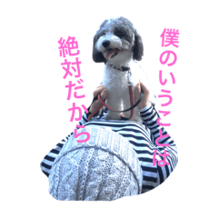 [LINEスタンプ] 我が家のおにぎり時々ひまわり