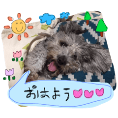 [LINEスタンプ] レオくんのスタンプ