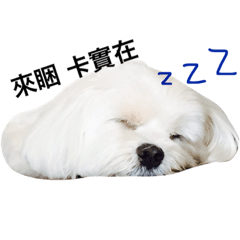 [LINEスタンプ] BallBall Life