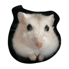 [LINEスタンプ] moues