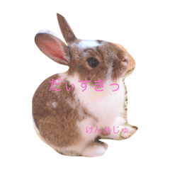 [LINEスタンプ] うさちゃんといっしょ