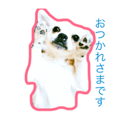 [LINEスタンプ] チワブルくまちゃん。