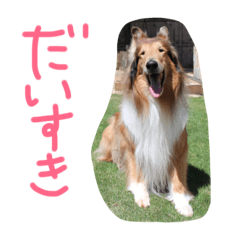 [LINEスタンプ] 愛しのchamp 