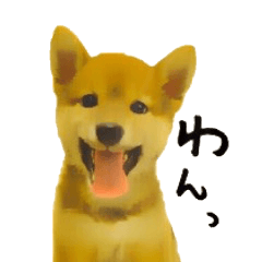 [LINEスタンプ] シバンプ（柴犬スタンプ）