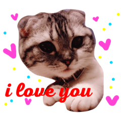 [LINEスタンプ] QQbabe 