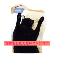 [LINEスタンプ] CATlandニャンコロコロ❤