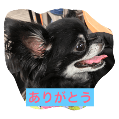 [LINEスタンプ] めぐがだいすき
