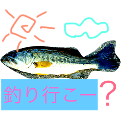 [LINEスタンプ] Fishing！