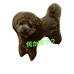 [LINEスタンプ] maromaron