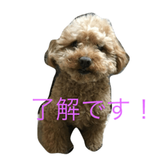 [LINEスタンプ] プーとショコラ