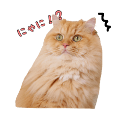 [LINEスタンプ] もふもふヒナシュー