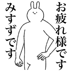 [LINEスタンプ] みすず専用！便利な名前スタンプ