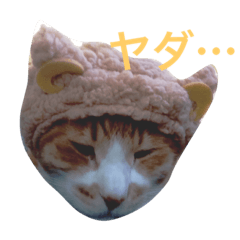 [LINEスタンプ] オリバー。