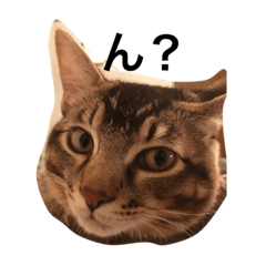 [LINEスタンプ] もん吉4