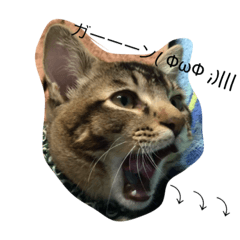 [LINEスタンプ] もん吉3