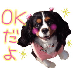 [LINEスタンプ] モモタロスタンプ