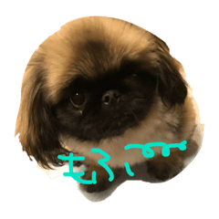 [LINEスタンプ] Mofutam