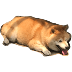 [LINEスタンプ] うちのぽっちゃり芝犬 タロウ