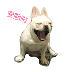 [LINEスタンプ] Hi mi shiou