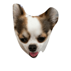 [LINEスタンプ] My Little Chi