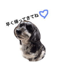 [LINEスタンプ] LOVEDOGs.