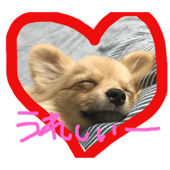 [LINEスタンプ] くまの気持ち②
