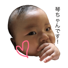 [LINEスタンプ] 琴スタンプ