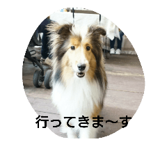 [LINEスタンプ] エブリーエブリータイム