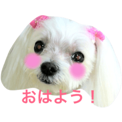 [LINEスタンプ] メグちゃんスタンプ