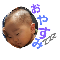 [LINEスタンプ] taisei3