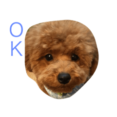 [LINEスタンプ] moko3 