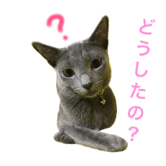 [LINEスタンプ] シナモン×ローズ2