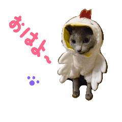 [LINEスタンプ] fu ＆ an 4