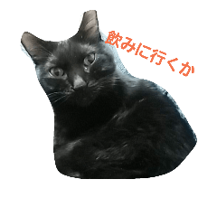 [LINEスタンプ] kakaricho Rocky