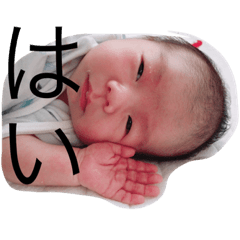 [LINEスタンプ] harusan.