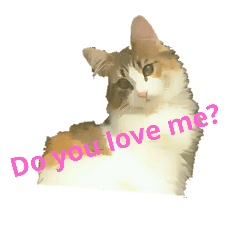 [LINEスタンプ] 猫のジャスミン