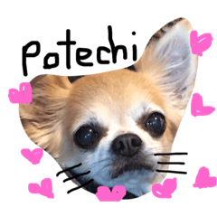 [LINEスタンプ] ぽてちと仲間たち